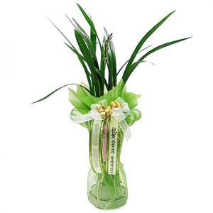 »ó¼¼³»¿ëº¸±â