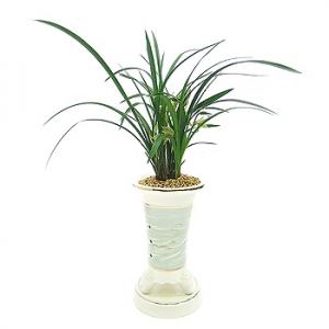 »ó¼¼³»¿ëº¸±â