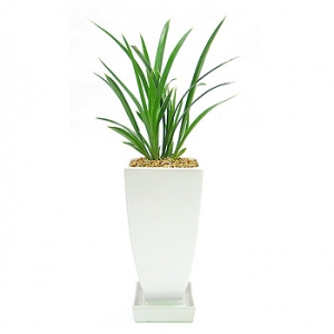 »ó¼¼³»¿ëº¸±â