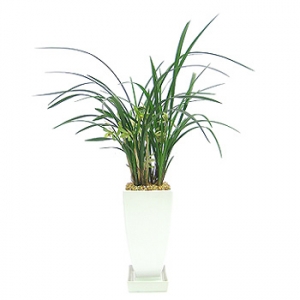 »ó¼¼³»¿ëº¸±â