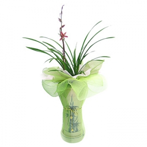 »ó¼¼³»¿ëº¸±â