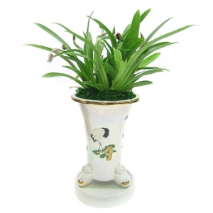 »ó¼¼³»¿ëº¸±â