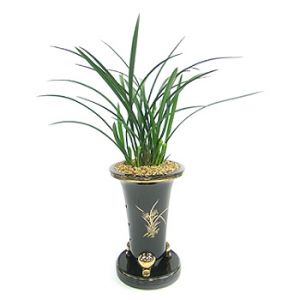 »ó¼¼³»¿ëº¸±â