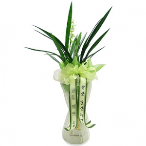 »ó¼¼³»¿ëº¸±â