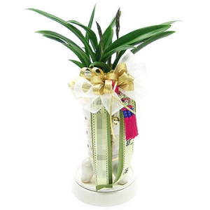 »ó¼¼³»¿ëº¸±â