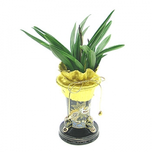 »ó¼¼³»¿ëº¸±â