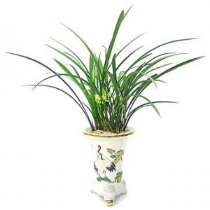 »ó¼¼³»¿ëº¸±â