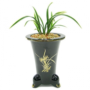 »ó¼¼³»¿ëº¸±â