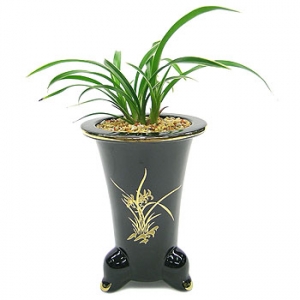 »ó¼¼³»¿ëº¸±â