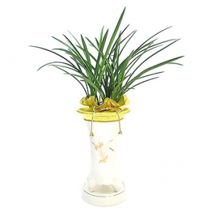 »ó¼¼³»¿ëº¸±â