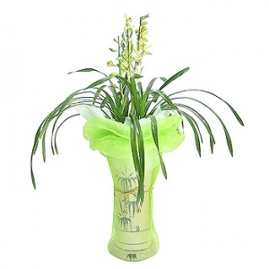 »ó¼¼³»¿ëº¸±â