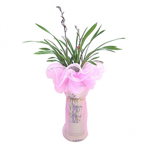 �󼼳��뺸��