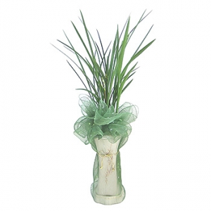 »ó¼¼³»¿ëº¸±â