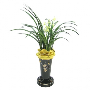 »ó¼¼³»¿ëº¸±â