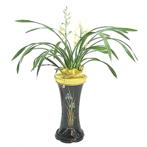 »ó¼¼³»¿ëº¸±â