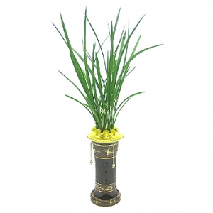 »ó¼¼³»¿ëº¸±â