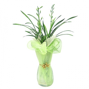 »ó¼¼³»¿ëº¸±â