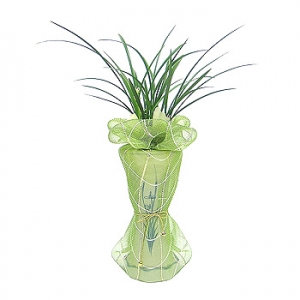 »ó¼¼³»¿ëº¸±â