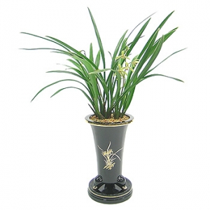 »ó¼¼³»¿ëº¸±â