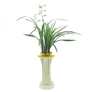 »ó¼¼³»¿ëº¸±â