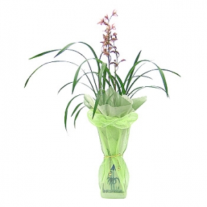 �󼼳��뺸��