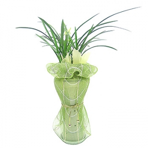 »ó¼¼³»¿ëº¸±â