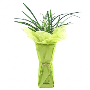 �󼼳��뺸��