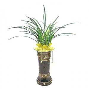 �󼼳��뺸��