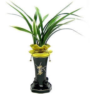 »ó¼¼³»¿ëº¸±â