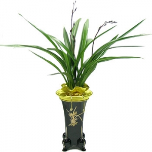 »ó¼¼³»¿ëº¸±â