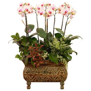 »ó¼¼³»¿ëº¸±â