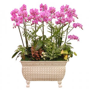 �󼼳��뺸��