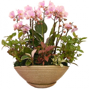 »ó¼¼³»¿ëº¸±â