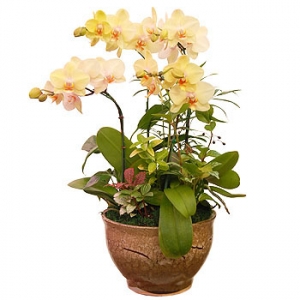 »ó¼¼³»¿ëº¸±â