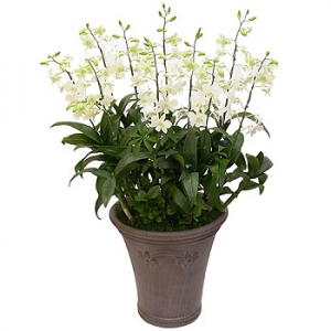 »ó¼¼³»¿ëº¸±â