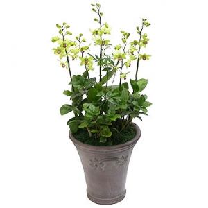 »ó¼¼³»¿ëº¸±â