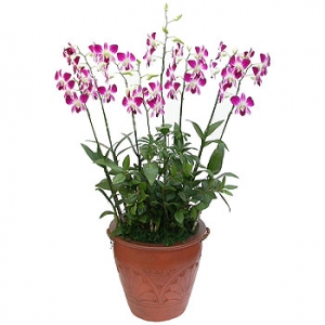 »ó¼¼³»¿ëº¸±â