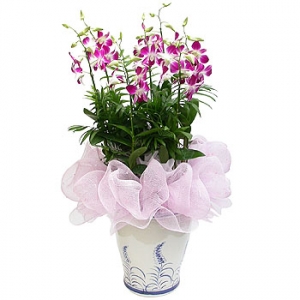 »ó¼¼³»¿ëº¸±â