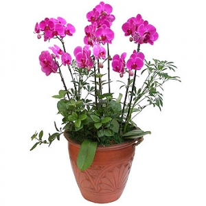 »ó¼¼³»¿ëº¸±â