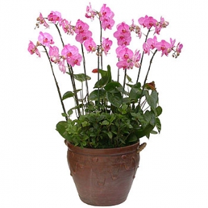 »ó¼¼³»¿ëº¸±â