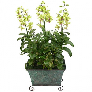 »ó¼¼³»¿ëº¸±â