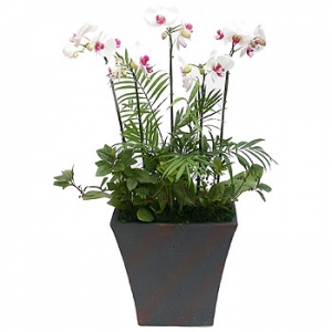 »ó¼¼³»¿ëº¸±â