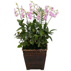 »ó¼¼³»¿ëº¸±â