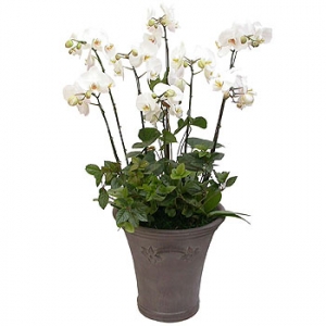 »ó¼¼³»¿ëº¸±â