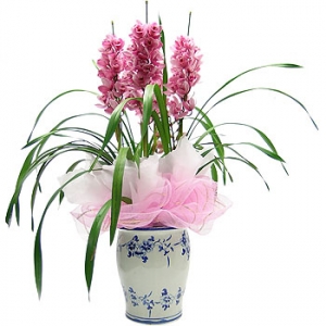 »ó¼¼³»¿ëº¸±â