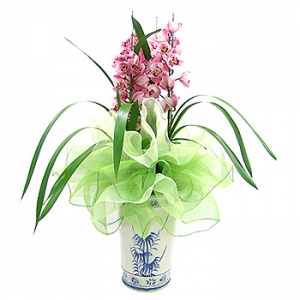 »ó¼¼³»¿ëº¸±â