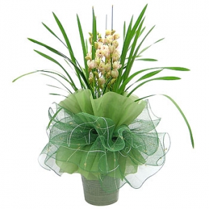 »ó¼¼³»¿ëº¸±â