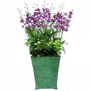 �󼼳��뺸��