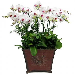 »ó¼¼³»¿ëº¸±â