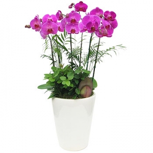 »ó¼¼³»¿ëº¸±â